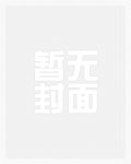 海贼之寻宝巴基